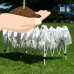 10 x 20 Palm Springs Pop Up WHITE Canopy Gazebo Party Tent with 6 Side Walls New   